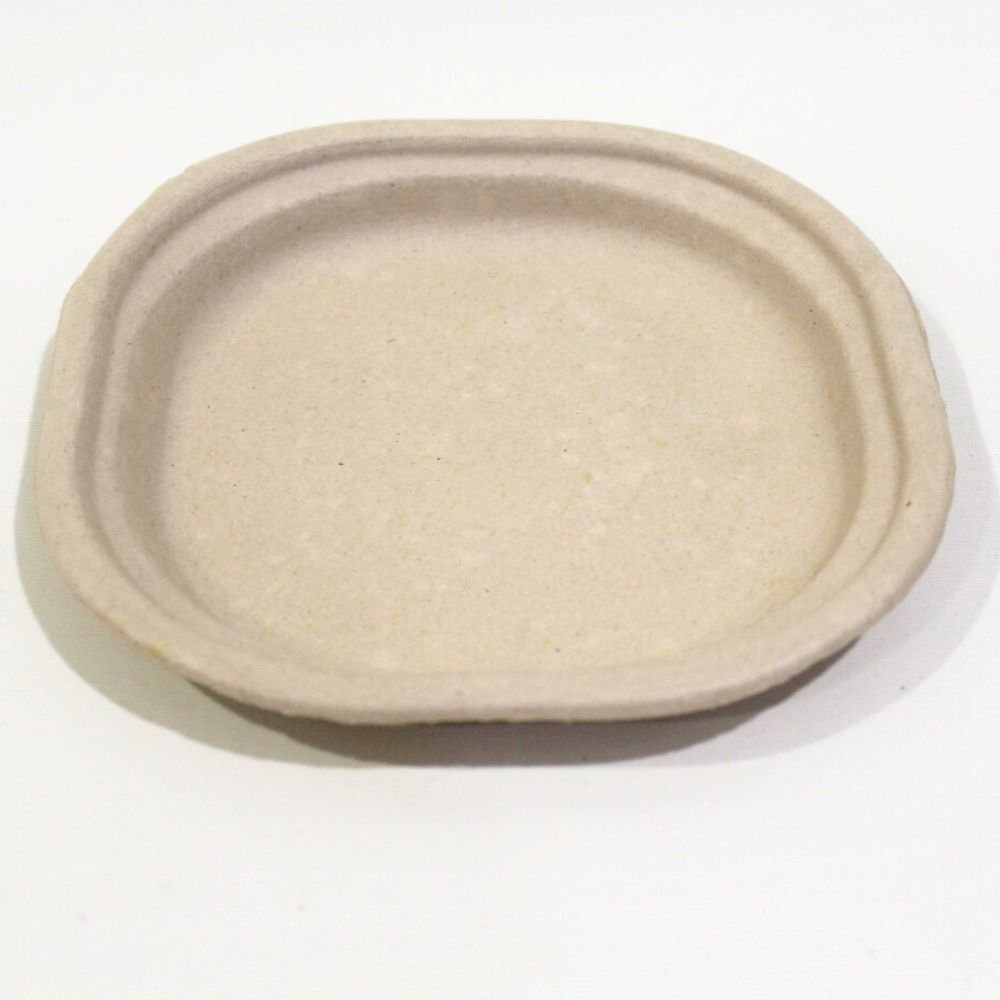 7 inch Plate ( 100 pcs )